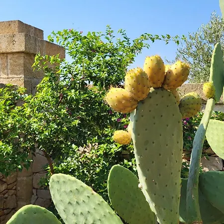 Casa Giardino *